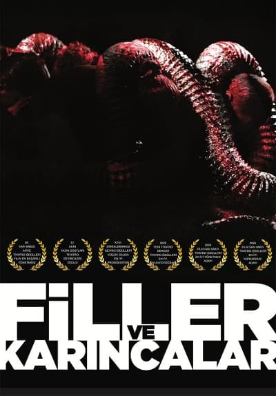 Filler ve Karıncalar