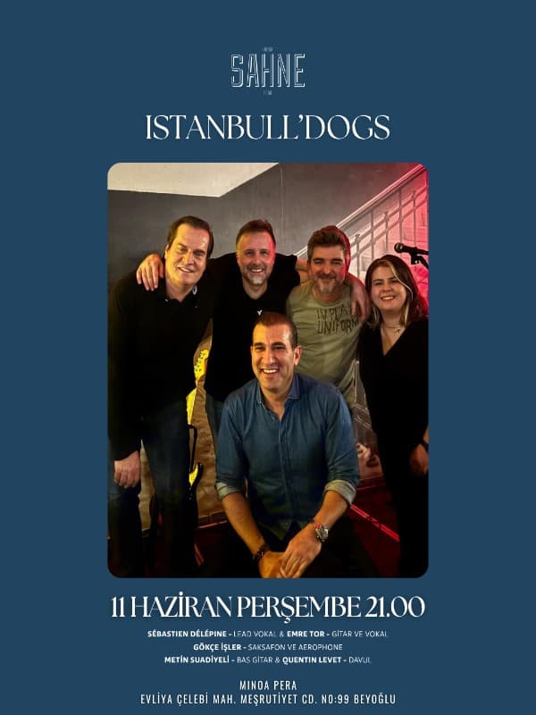 Istanbull'Dogs